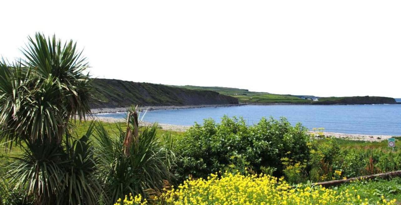 להינץ' Wild Atlantic Lodge Bed & Breakfast מראה חיצוני תמונה