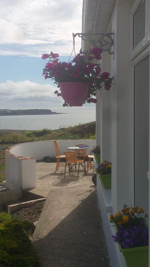 להינץ' Wild Atlantic Lodge Bed & Breakfast מראה חיצוני תמונה