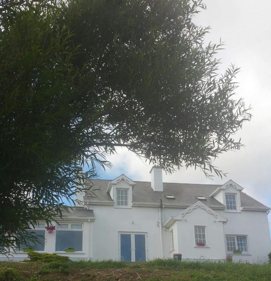 להינץ' Wild Atlantic Lodge Bed & Breakfast מראה חיצוני תמונה
