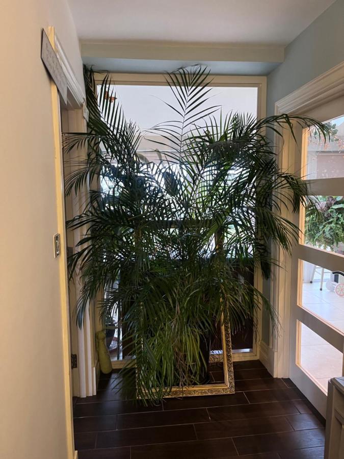 להינץ' Wild Atlantic Lodge Bed & Breakfast מראה חיצוני תמונה